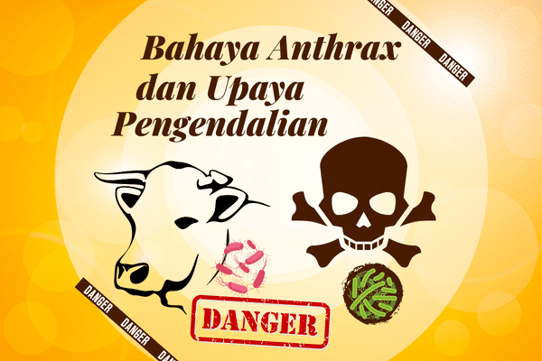 Apa itu anthrax? dan Bagaimana mengatasinya ?