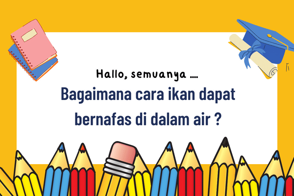 Bagaimana cara ikan bernapas di dalam air?