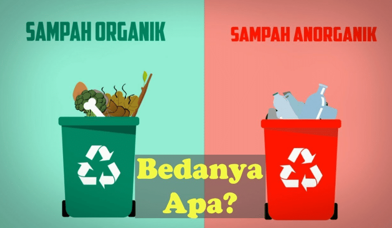 Sampah Organik dan Anorganik: Pengertian, Jenis, dan Manfaatnya